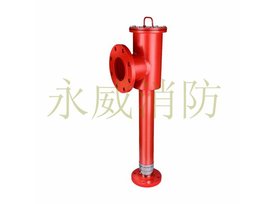 泡沫產(chǎn)生器（立式）